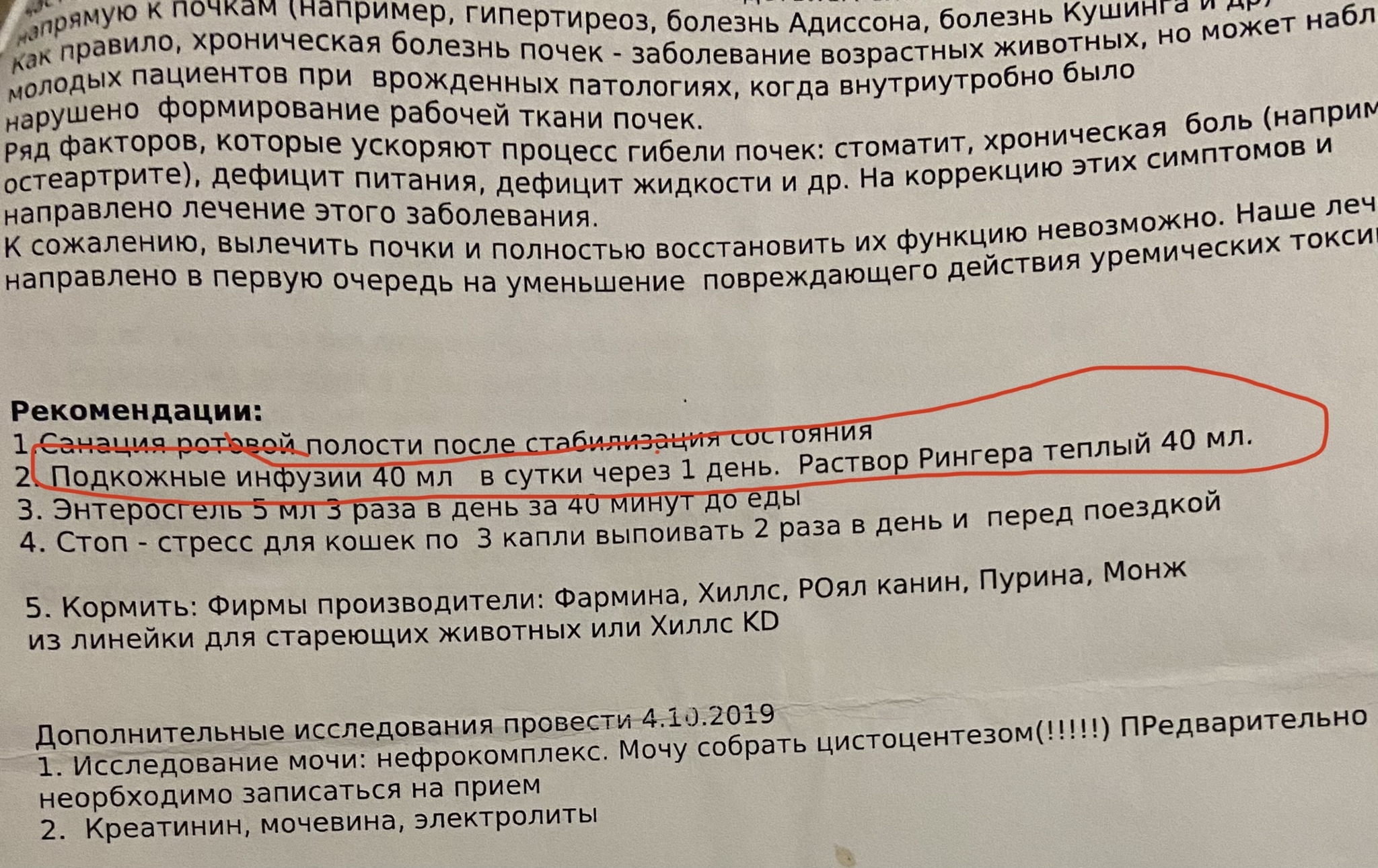 Семенова Мария Алексеевна. Ветеринар, убивший мою кошку. Клиника ИВЦ МВА  ВОСТОК/СВОЙ ДОКТОР В ЛЮБЛИНО | Пикабу