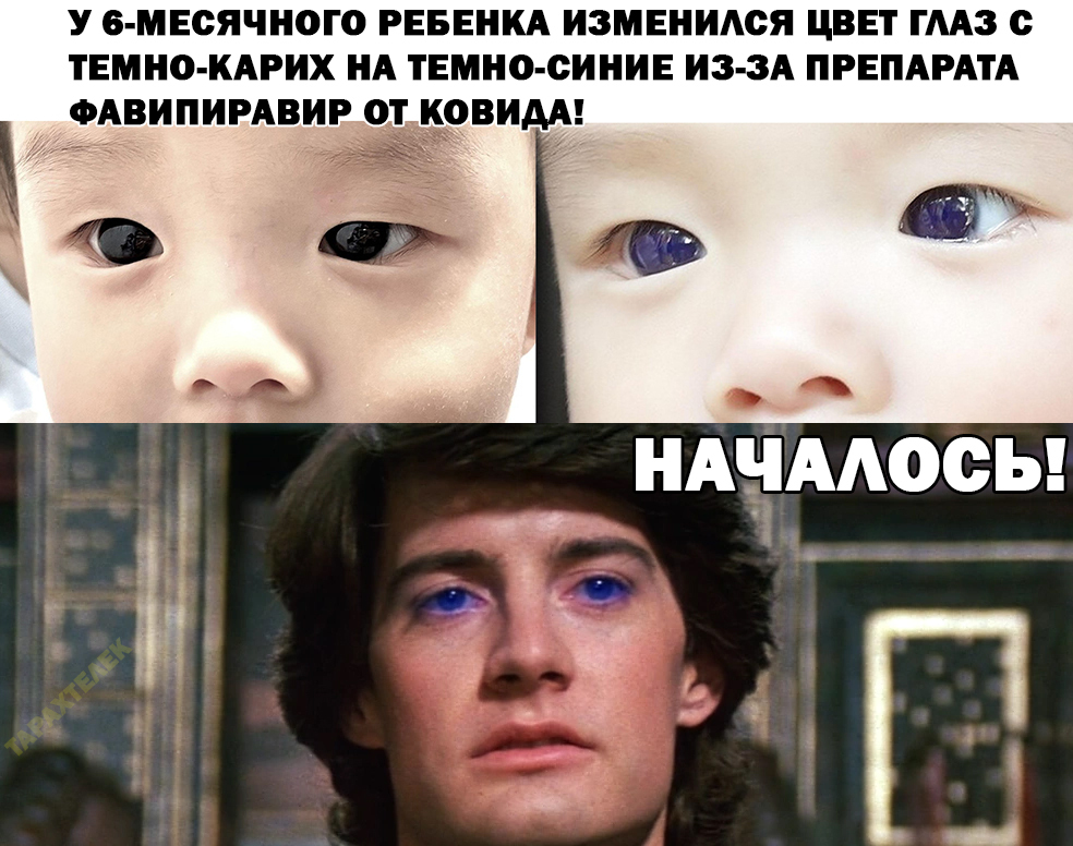 Это всё спайс! | Пикабу