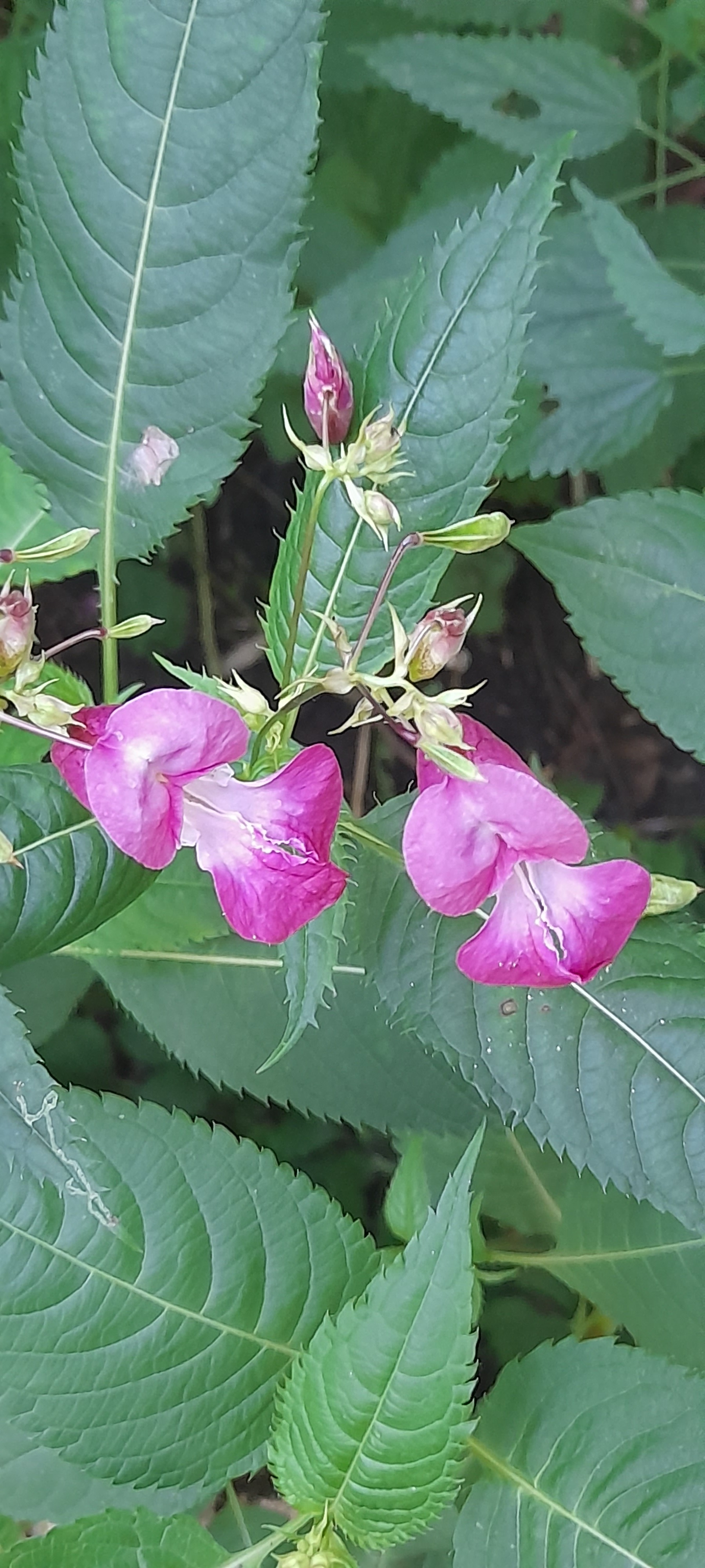 Яуза Парк | Пикабу