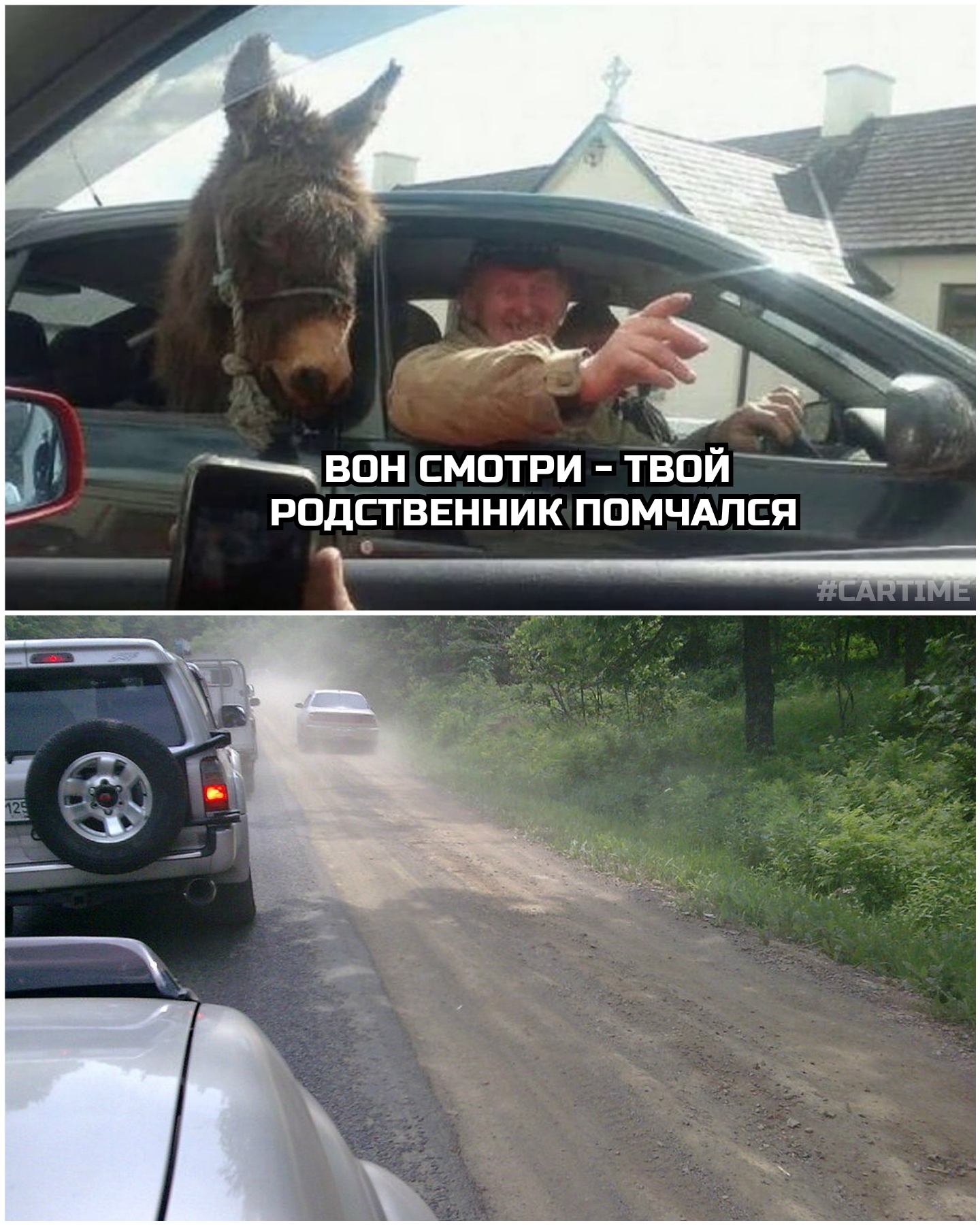 Обочечники... | Пикабу