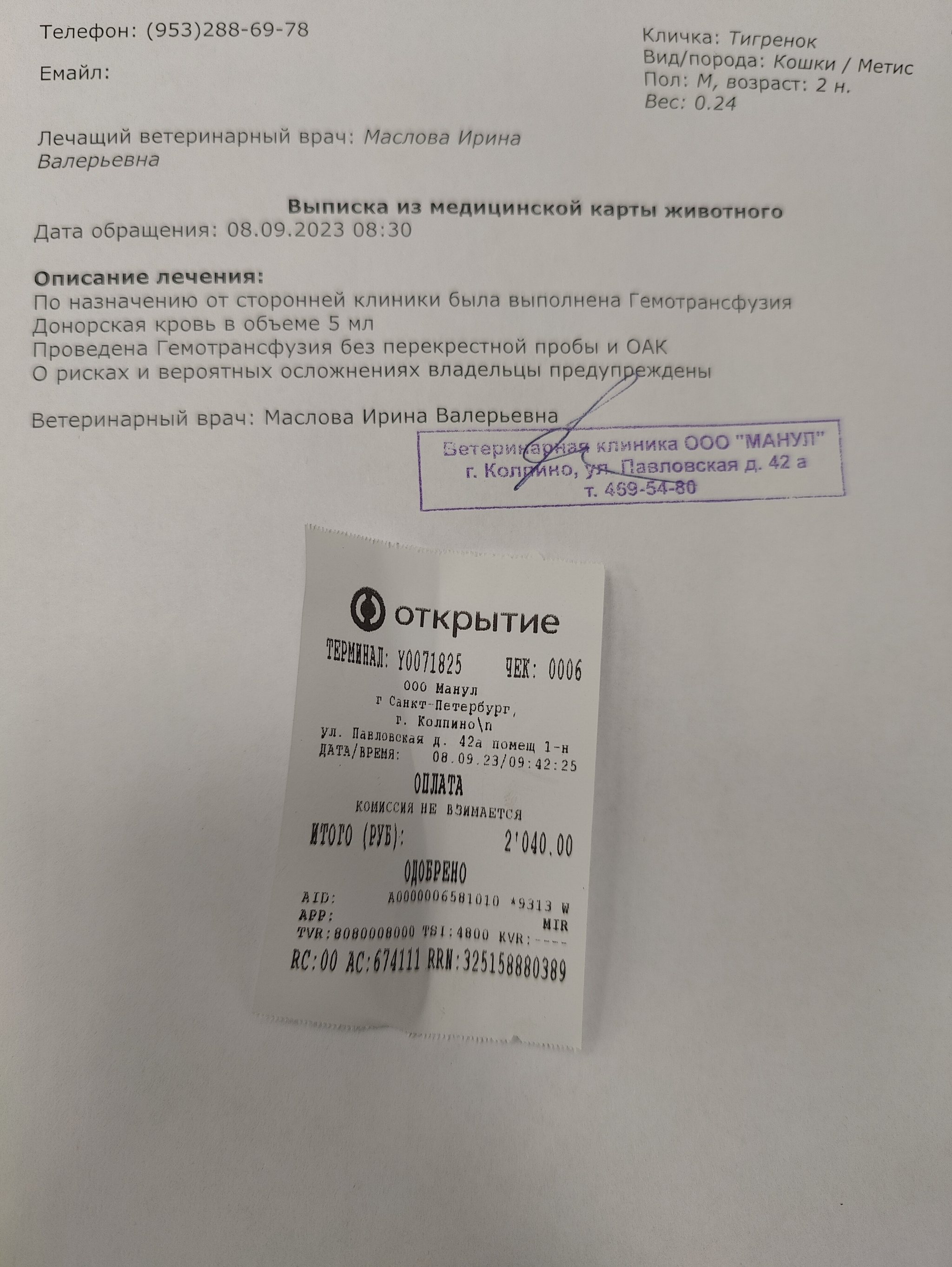 Продолжение поста «Просто промытый спасённый котёнок лежит на теплой грелке  после еды» | Пикабу