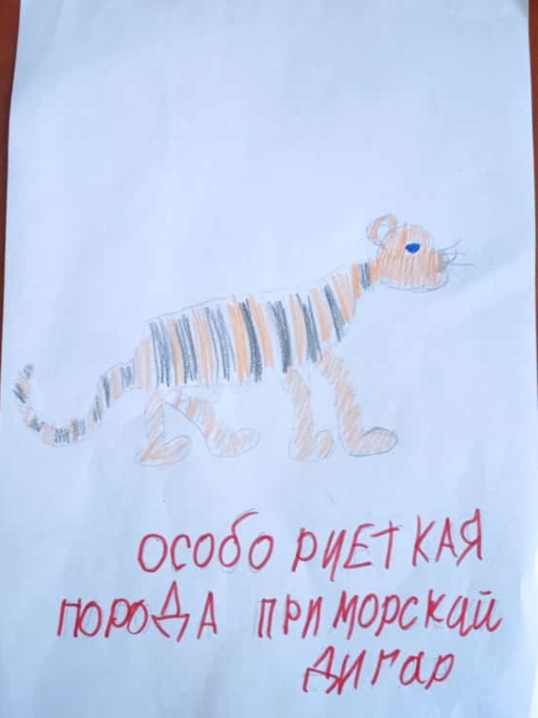 Дигар | Пикабу