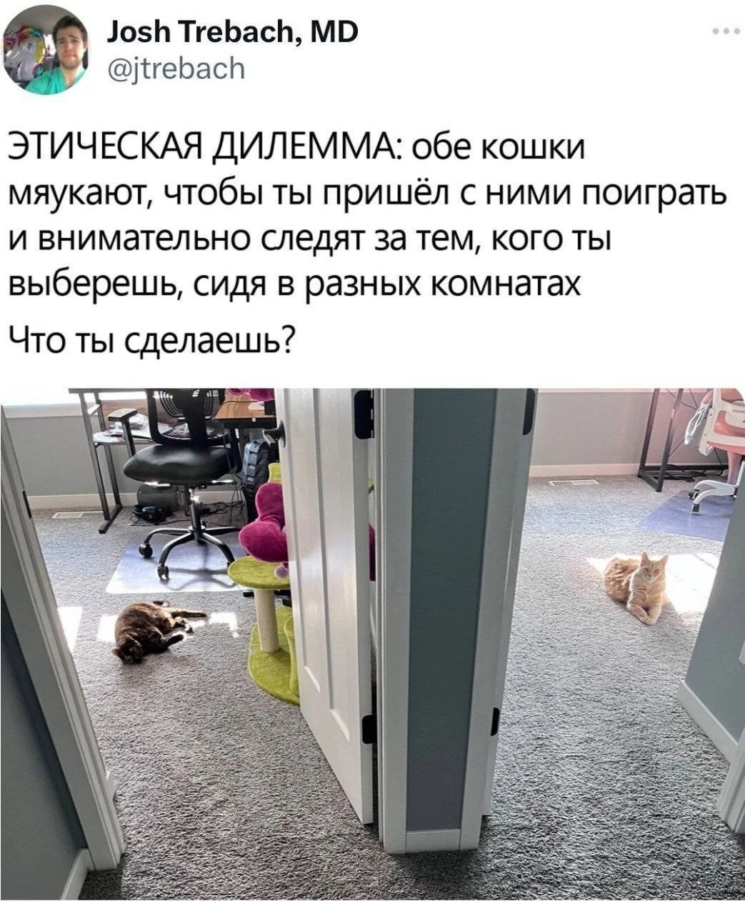 Выбор без выбора | Пикабу
