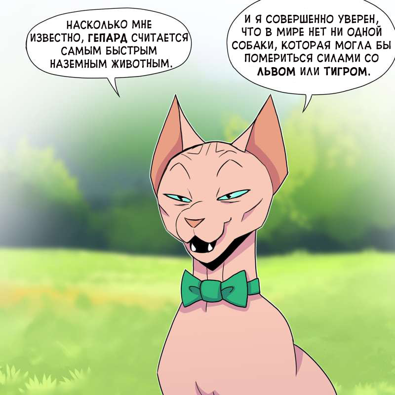 Кошки против собак | Пикабу