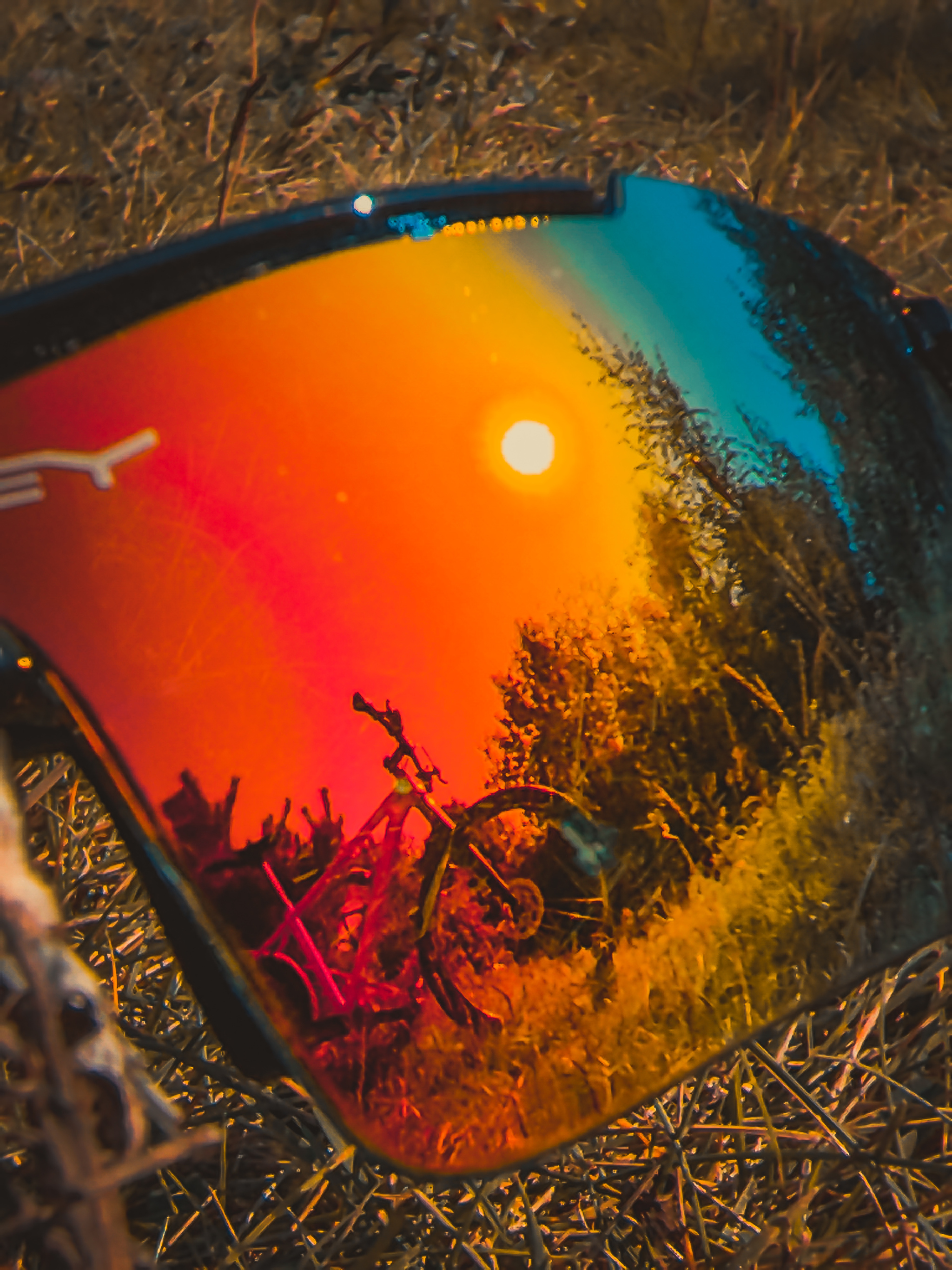 Осеннее прогулочное | Пикабу