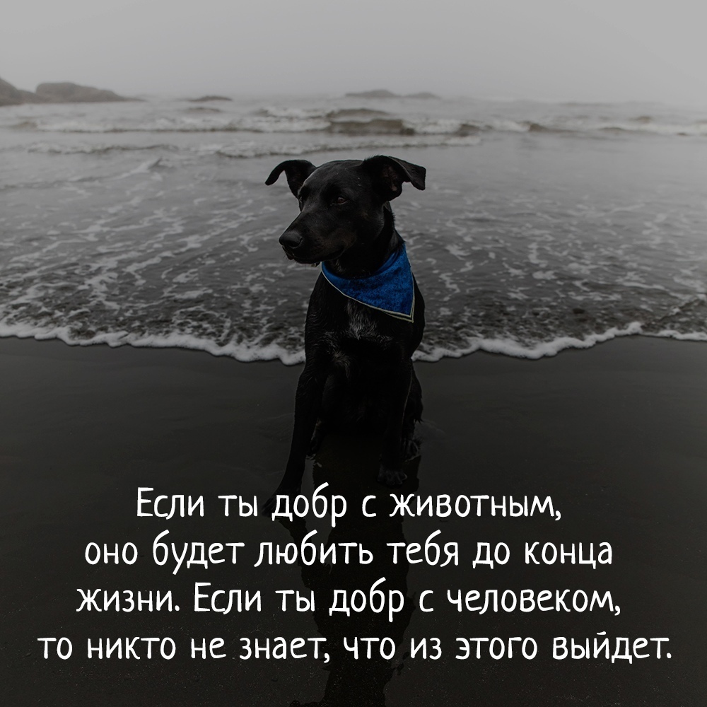 А ведь правда | Пикабу