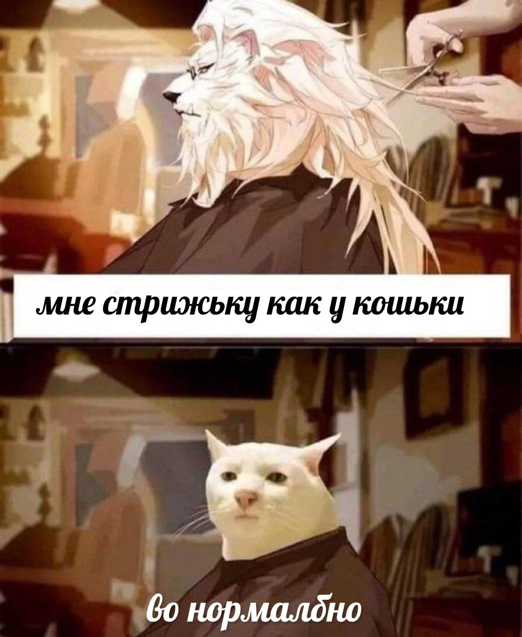 Немножко мемов с животными) | Пикабу