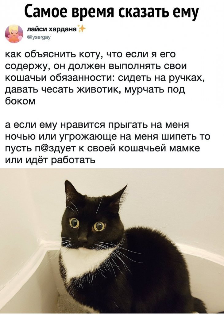 Баяномемы 5 | Пикабу