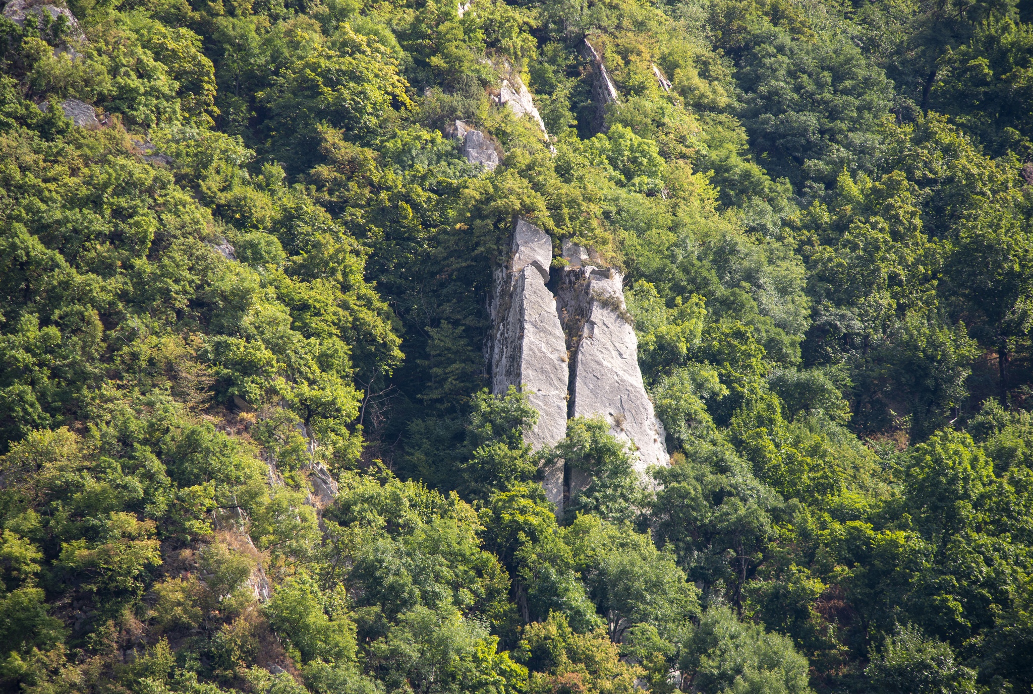 Гора Развалка Железноводск Фото