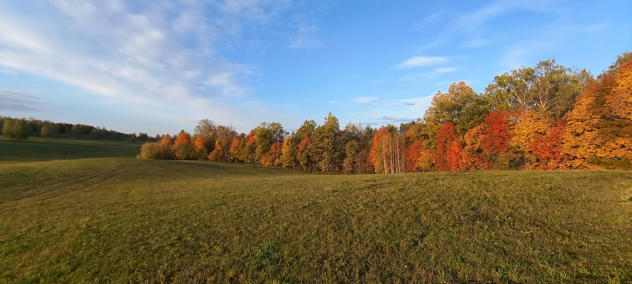 Осень. Гулял и фоткал на телефон | Пикабу