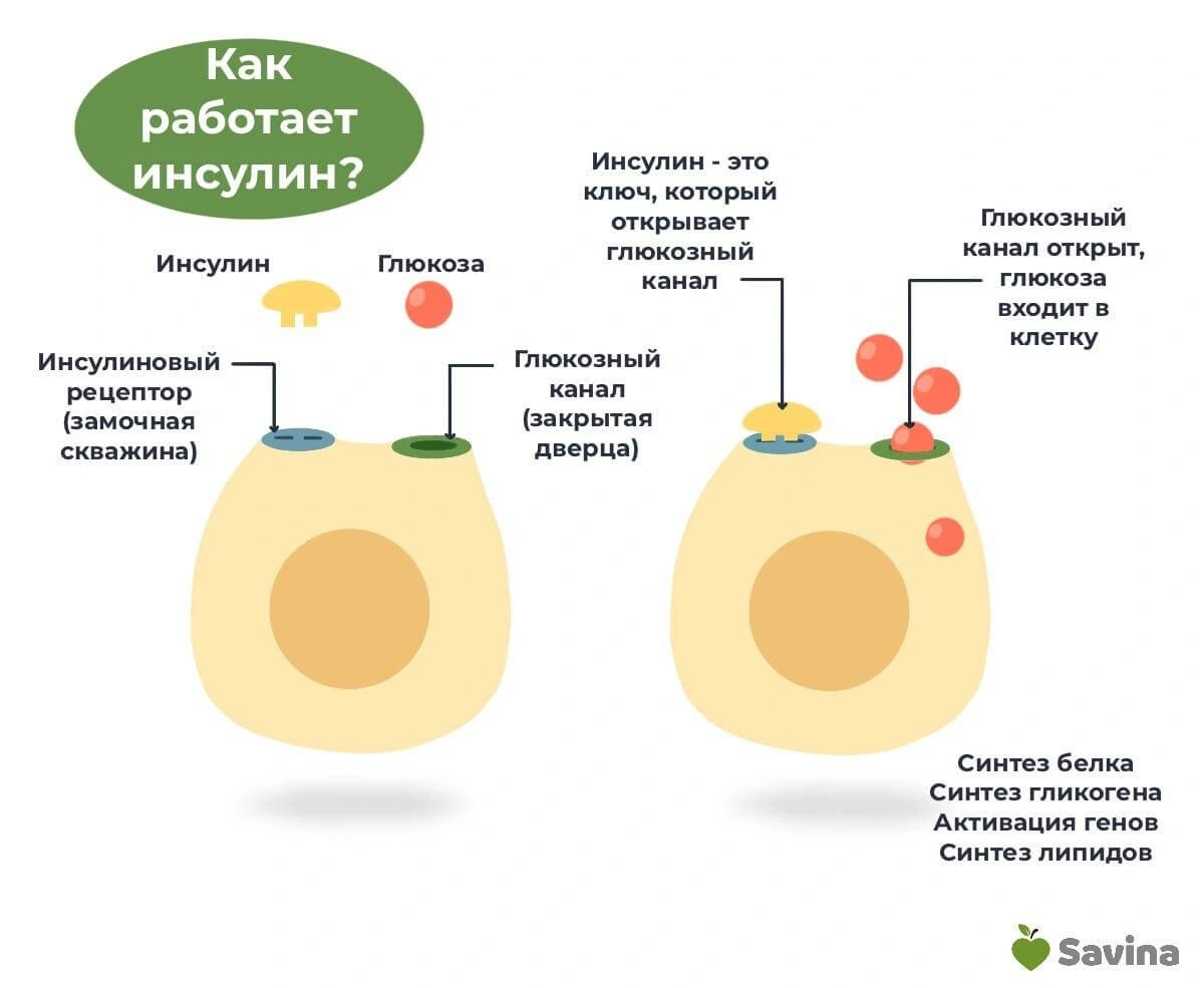 Причины инсулинорезистентности простыми словами — откуда растут ноги этой  проблемы? | Пикабу