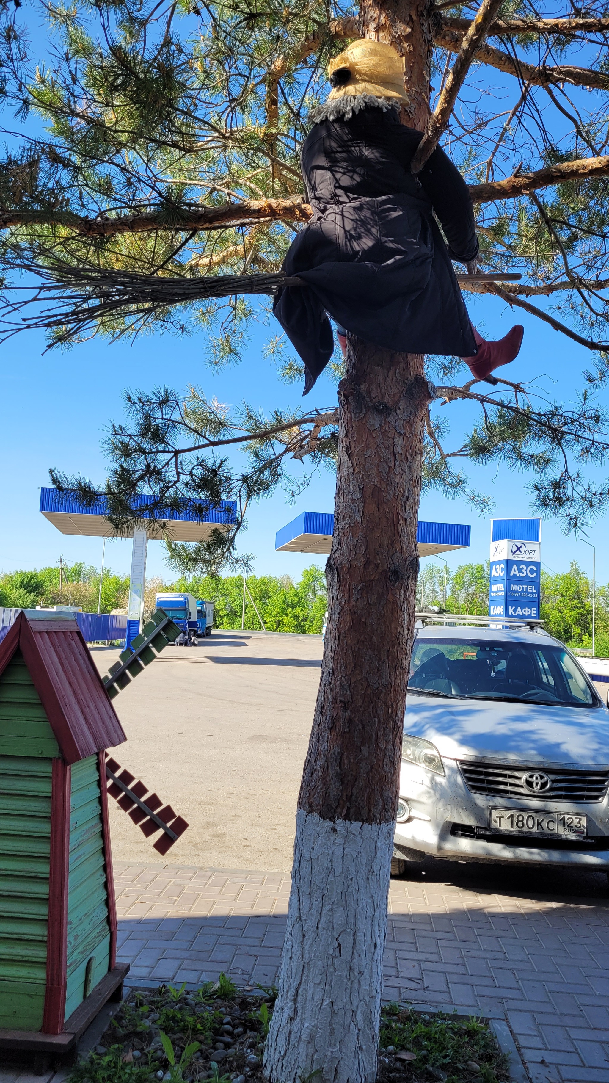 Красивые случайные женщины, делающие селфи на улице в городе