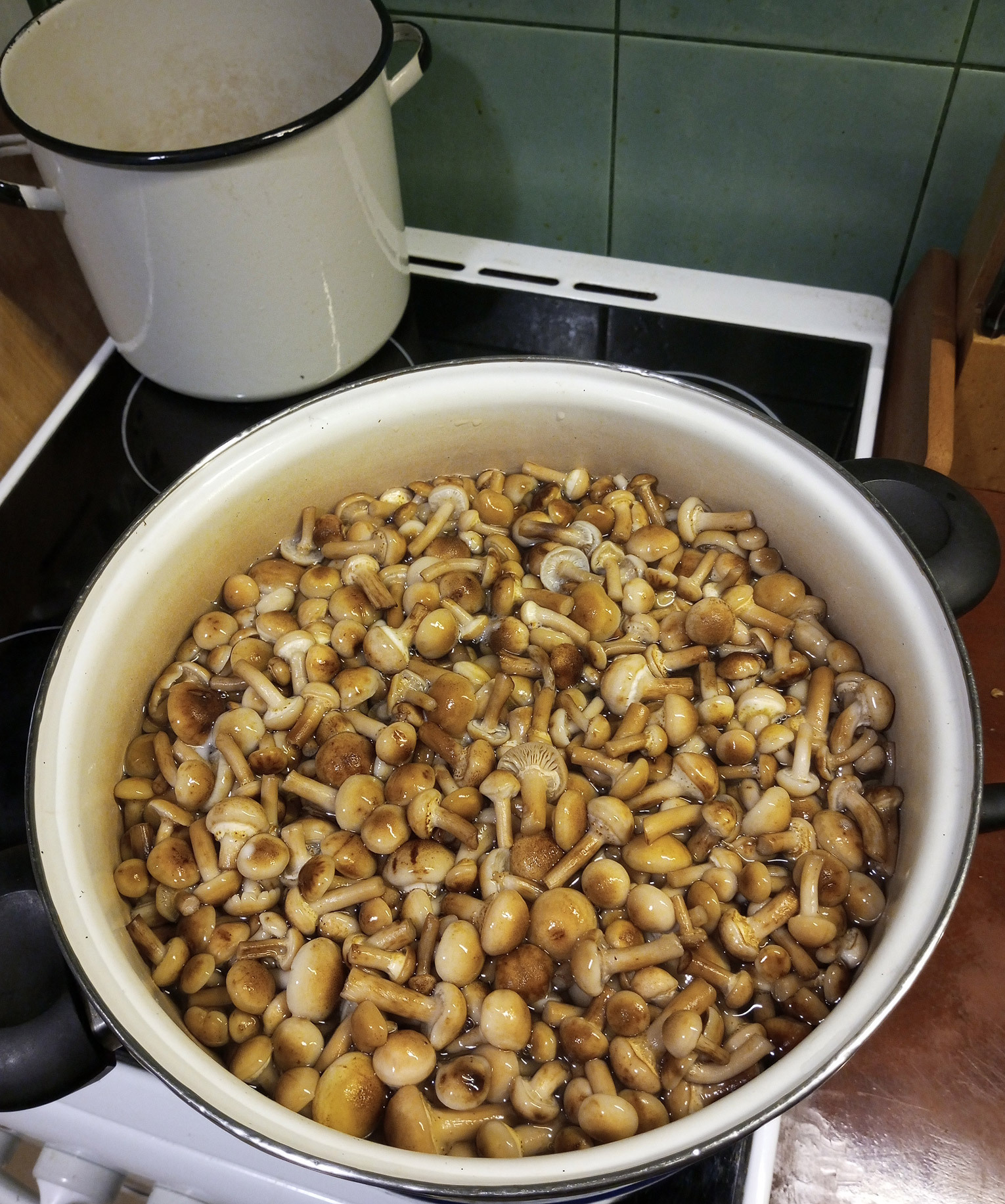 Ингредиенты для «Суп грибной с опятами»: