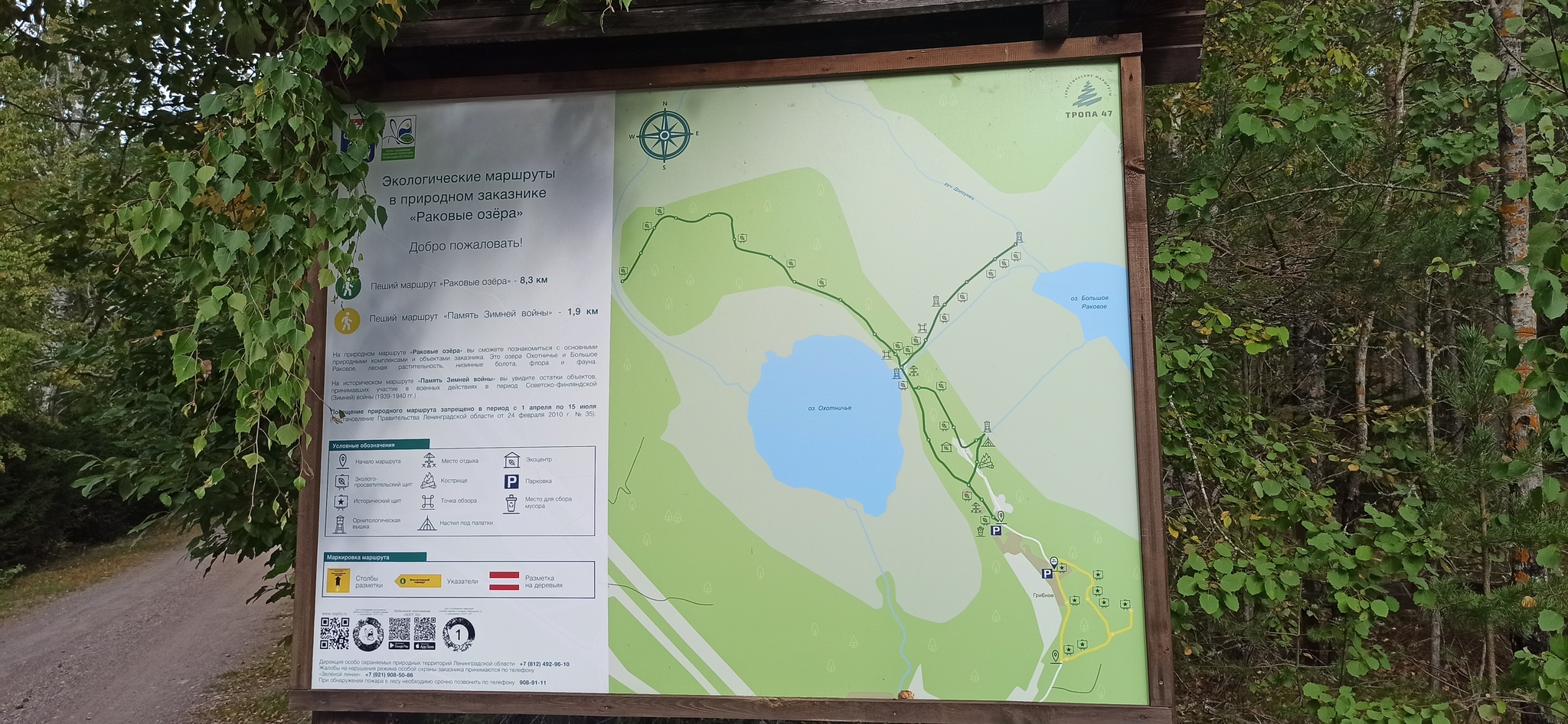 Экотропа лукоморье в лисьем