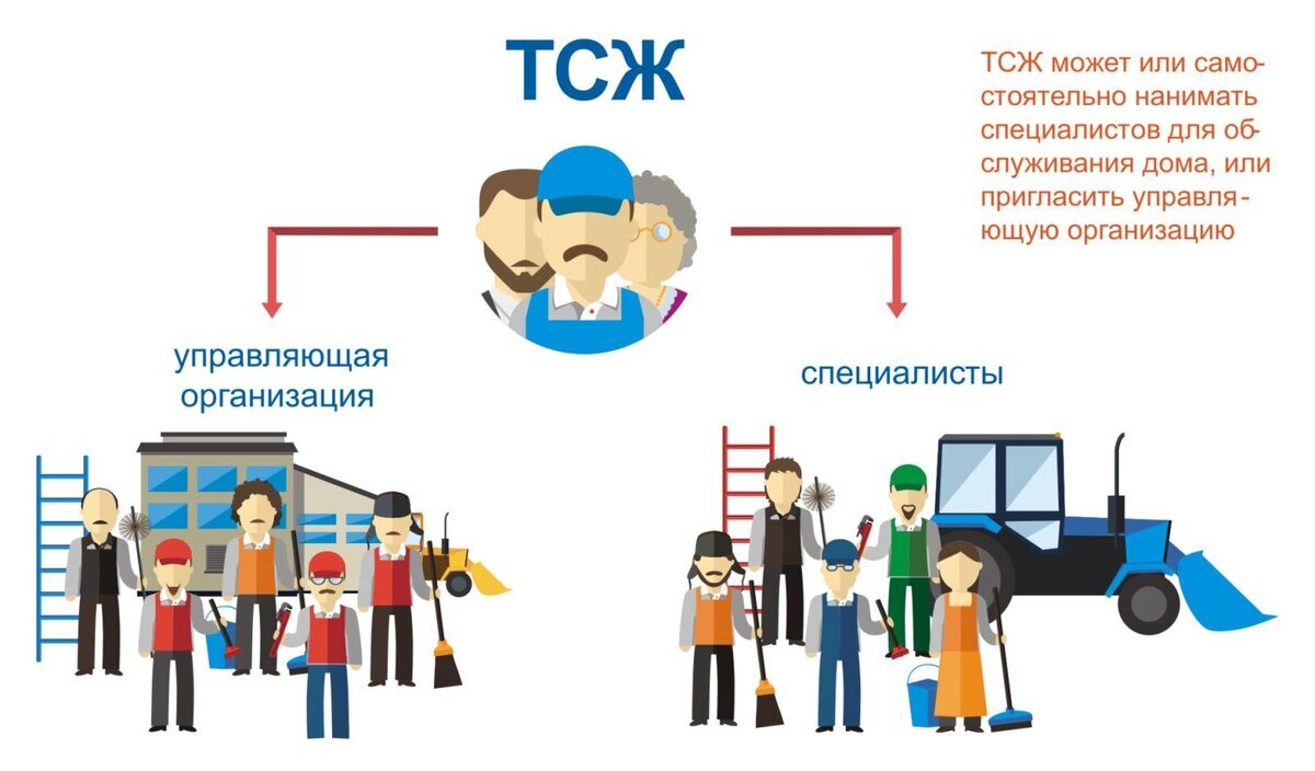 может ли тсж нанять управляющую компанию на управление домом (98) фото