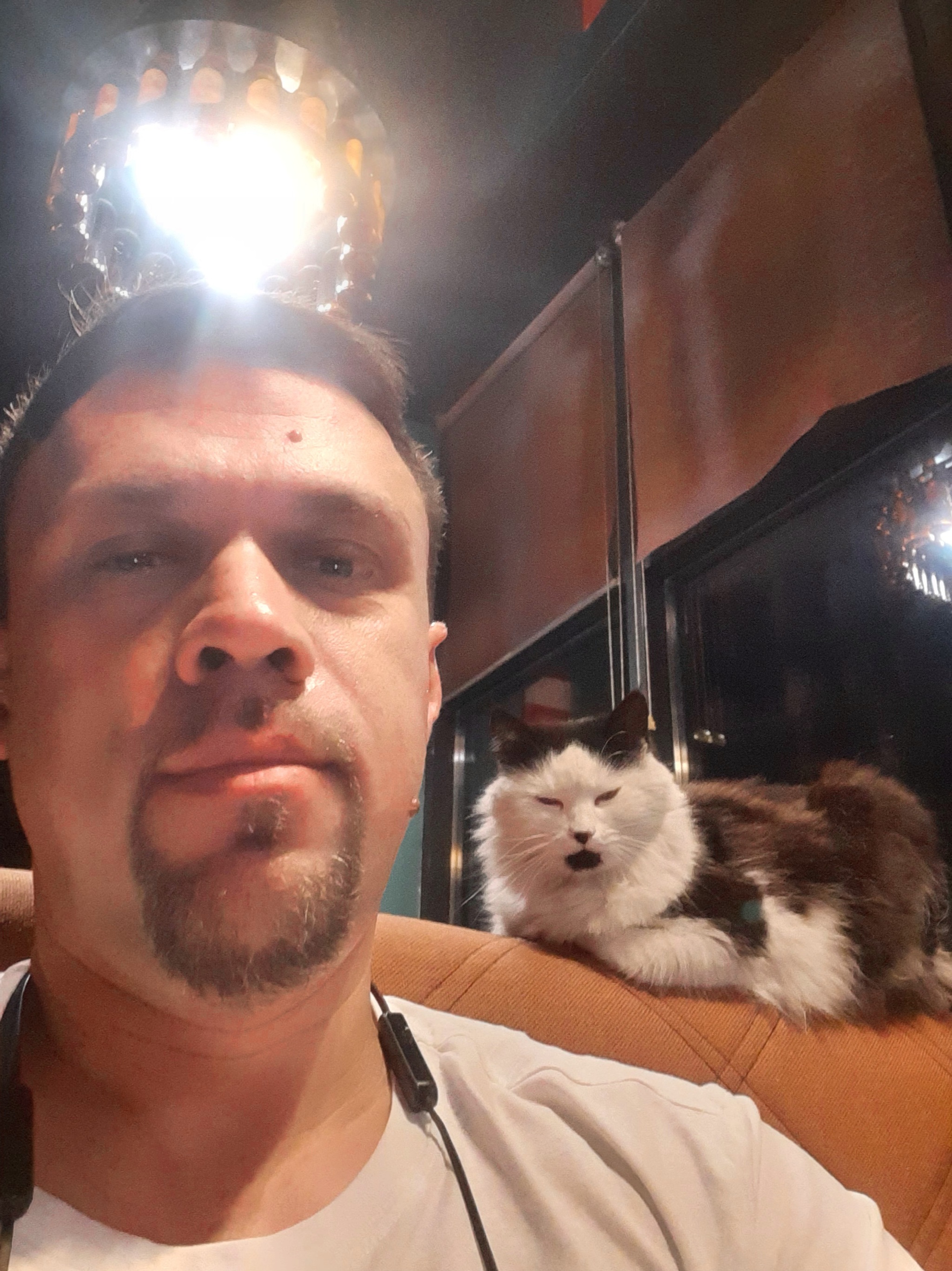 Просто котейка) | Пикабу