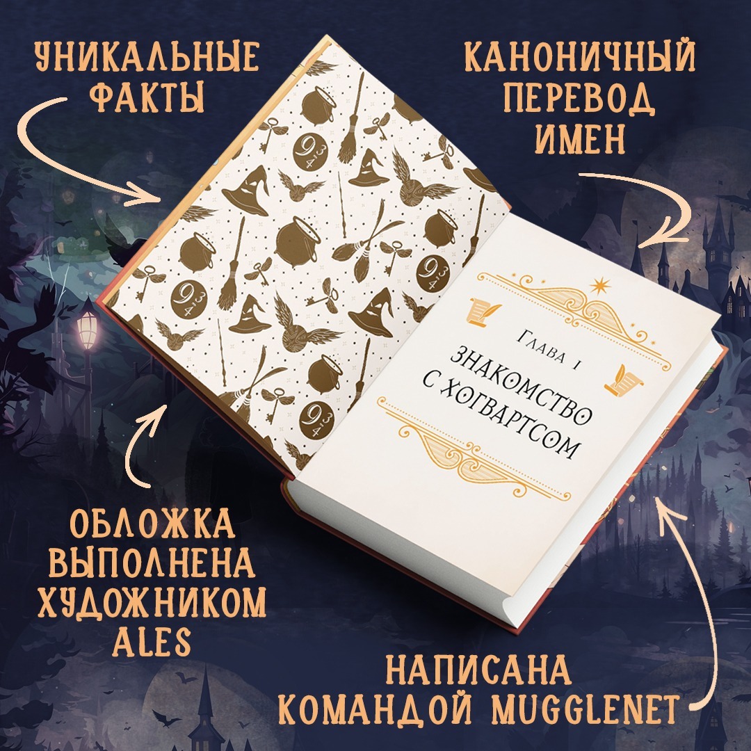 Получить сову и пережить пять ночей: подарки для фанатов популярных  вселенных | Пикабу