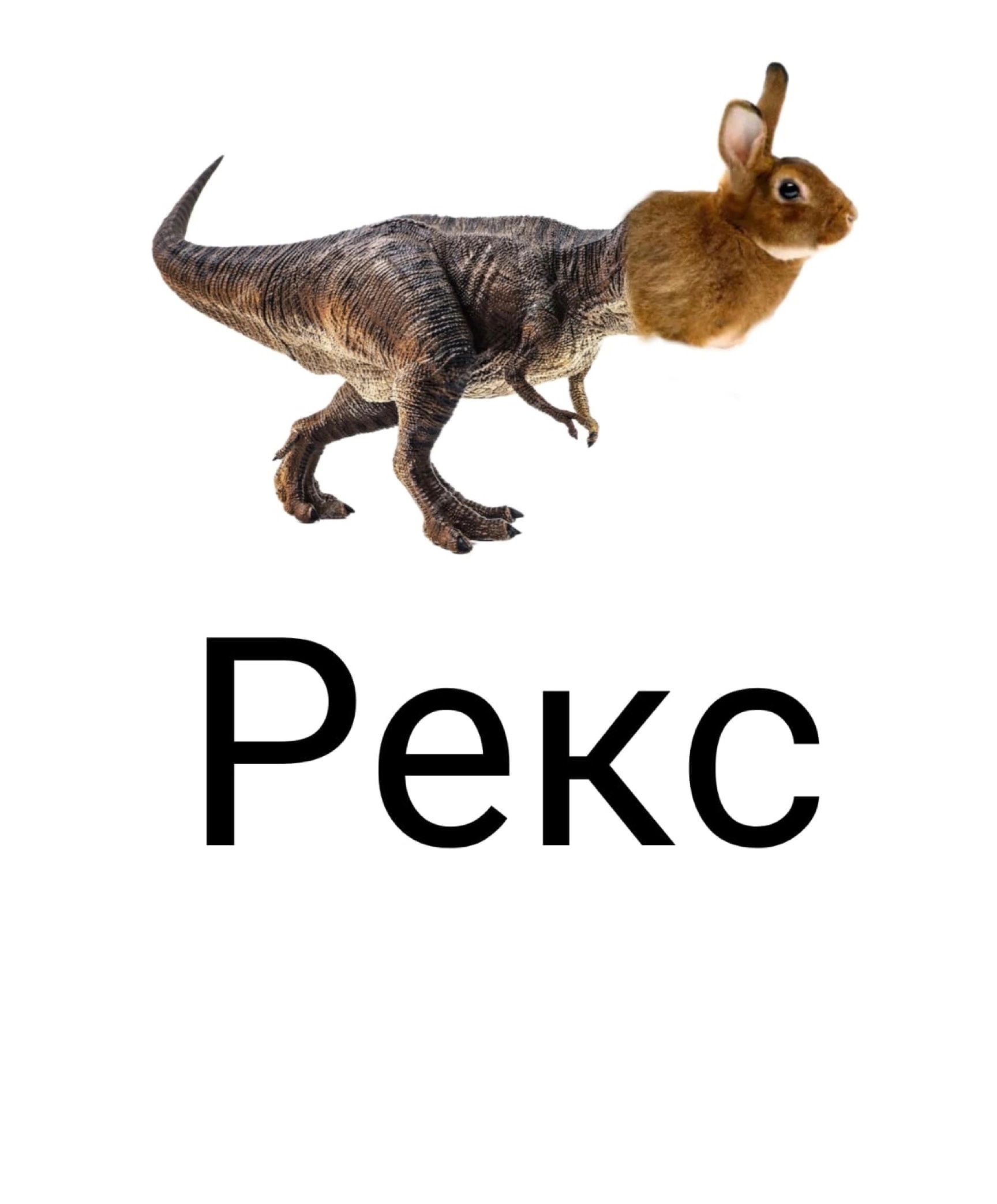 Рекс | Пикабу