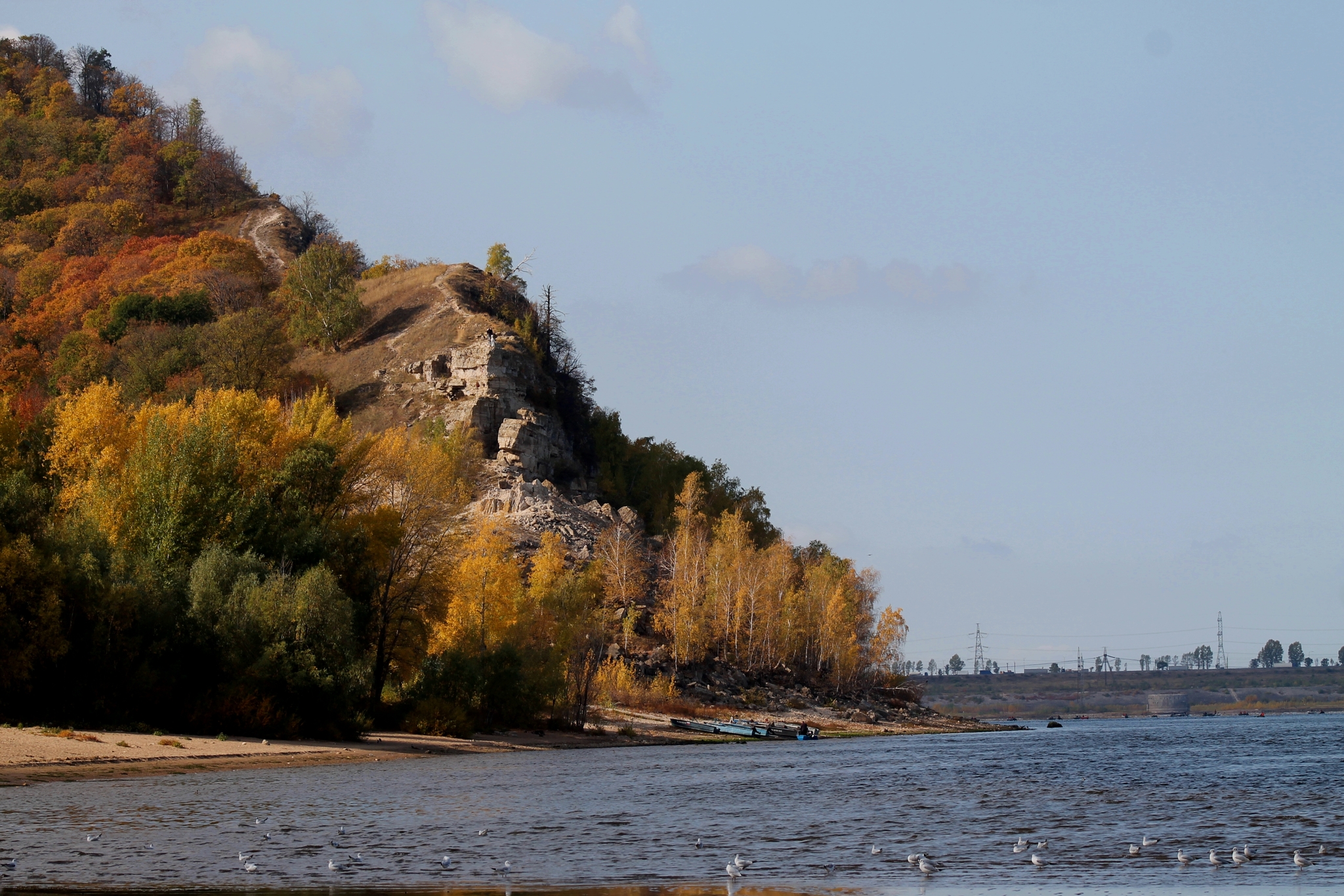 Самарская лука. Моркваши | Пикабу