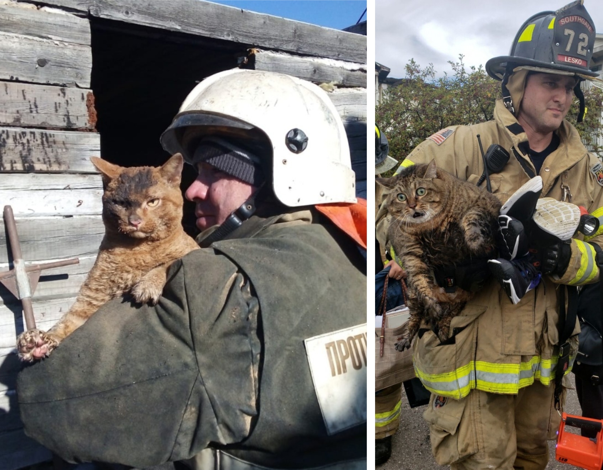 Фото по запросу Спасение лесного пожара