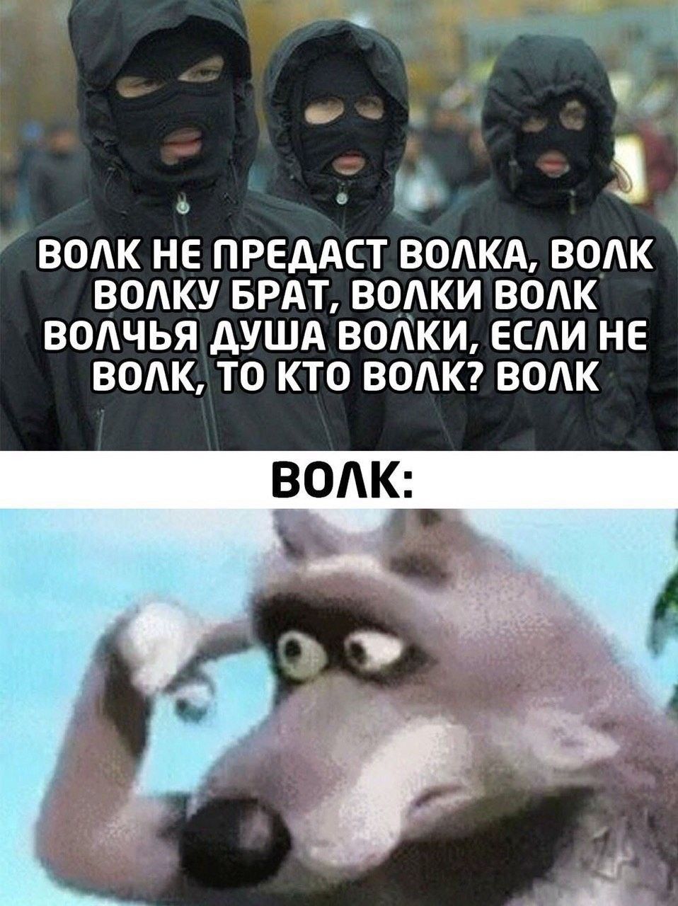 Волки картинки