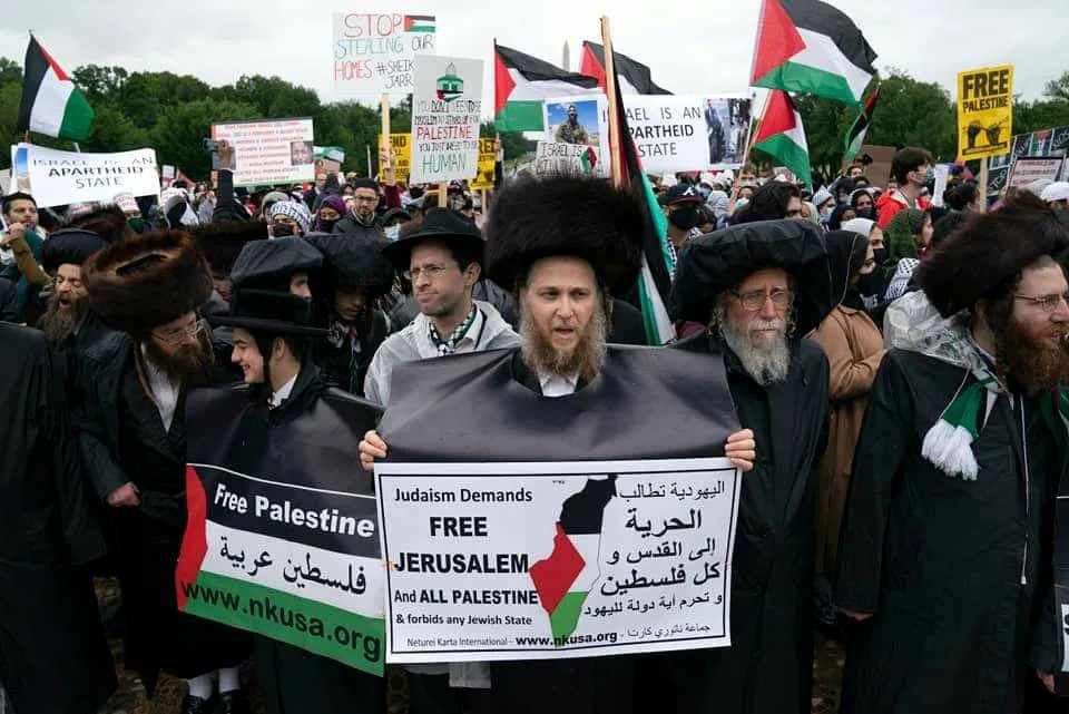 Как подаётся информация о митингах в поддержку Палестины | Пикабу