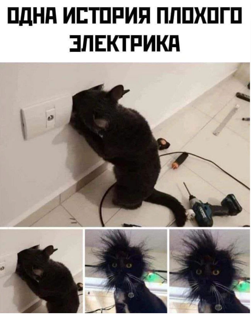 Электро-мышки | Пикабу