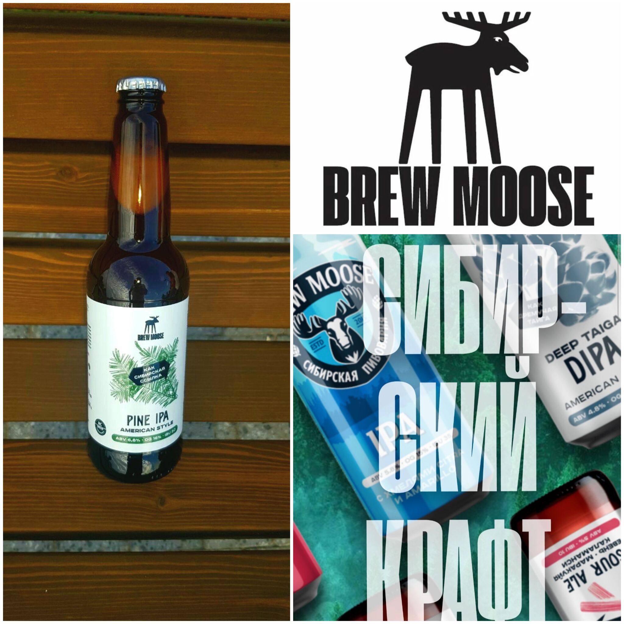 Brew Moose Pine Ipa | Пикабу