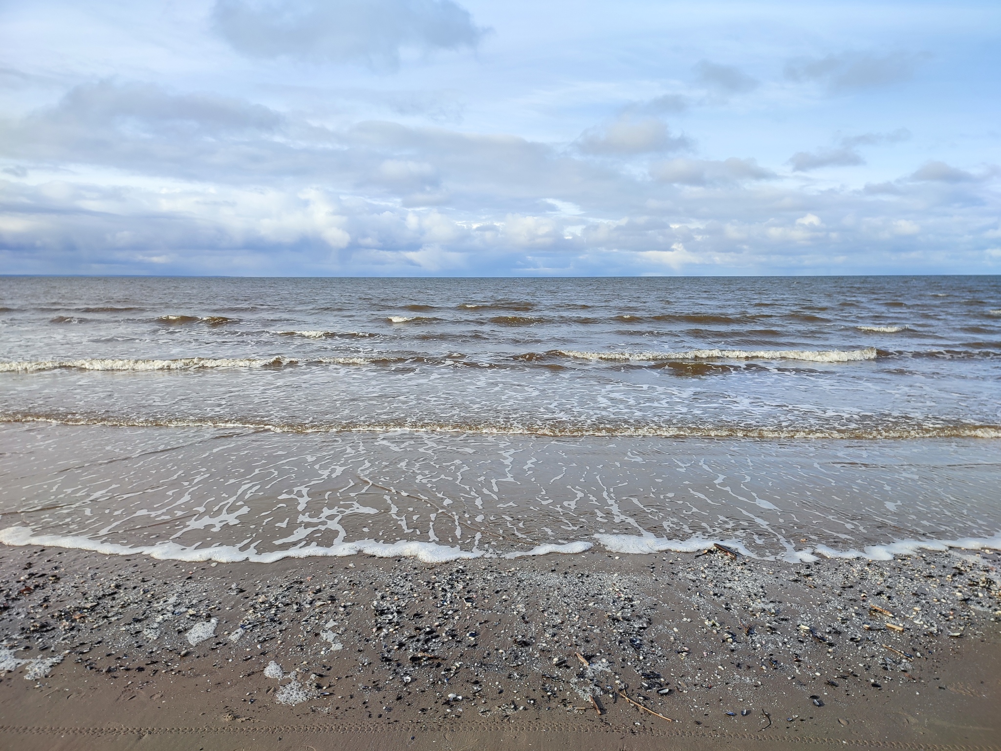 Северодвинск. Белое море. Зеленый бор. | Пикабу