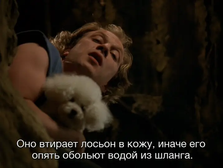 1697990733340839701.png