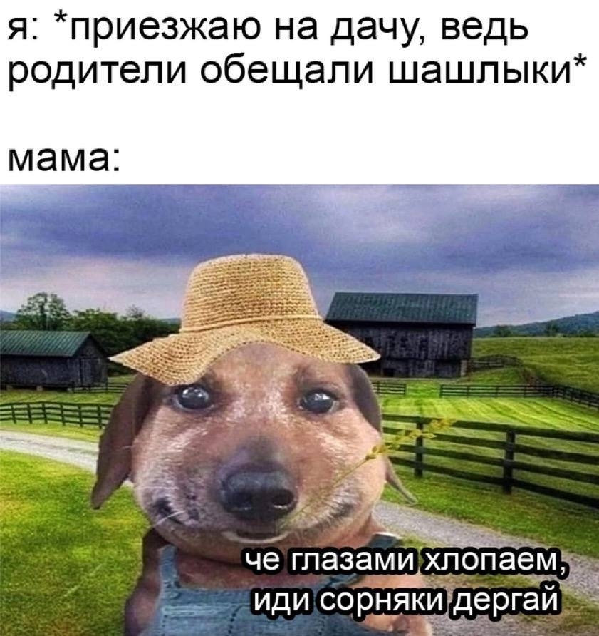 Дача | Пикабу