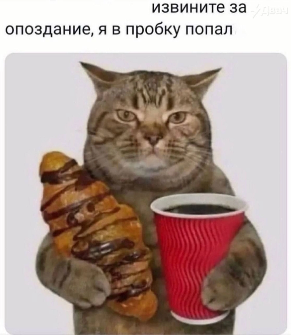 Опоздал, бывает | Пикабу