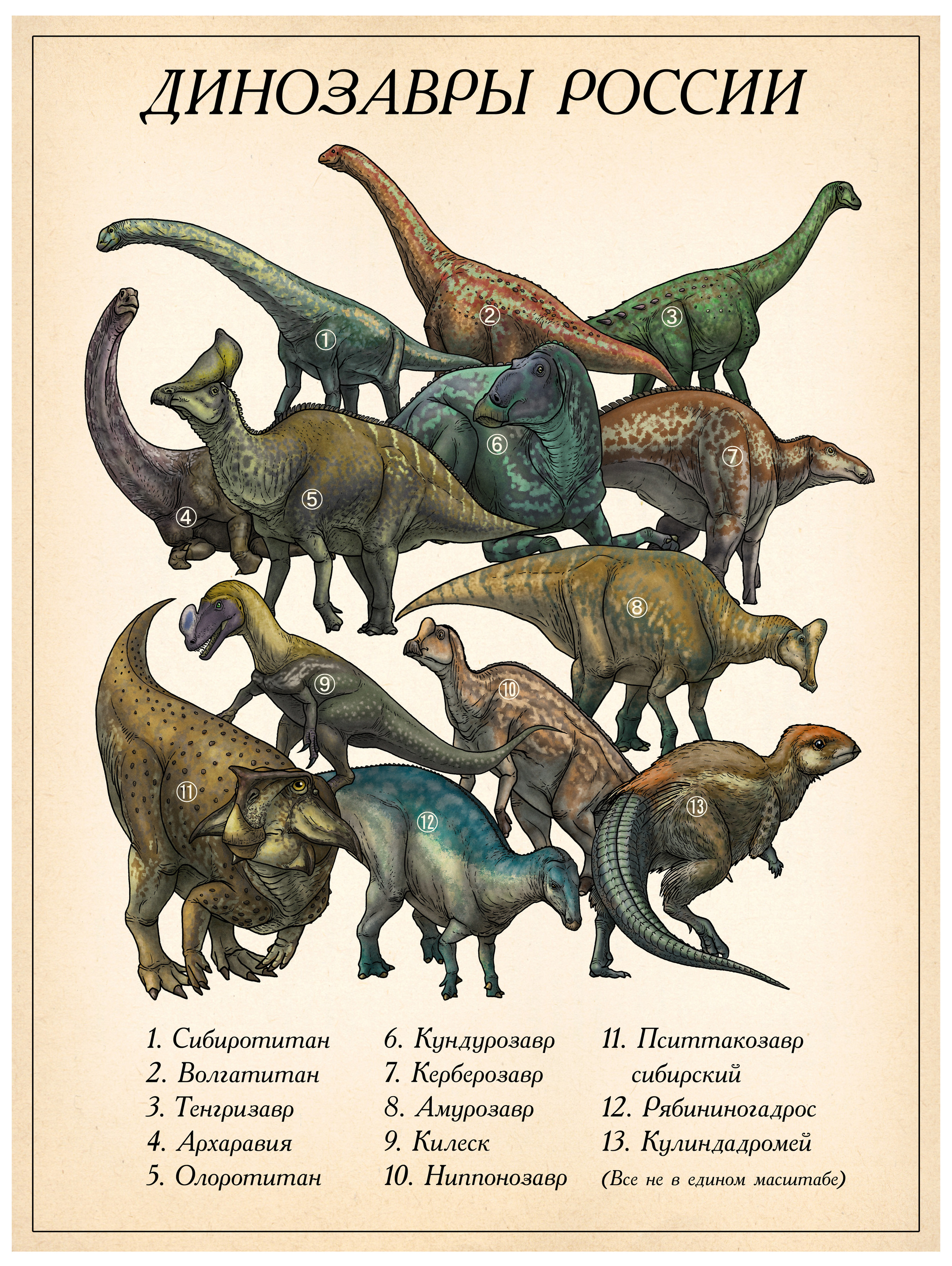 Травоядные динозавры названия и фото