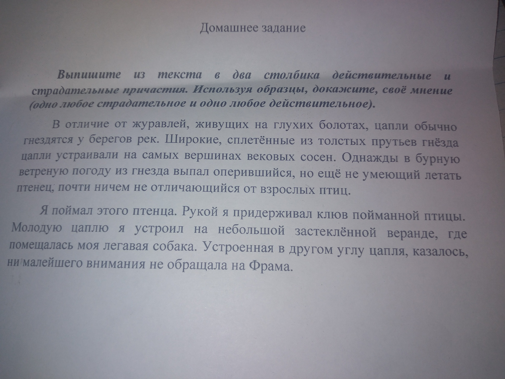 Помогите с русским срочно 7 класс | Пикабу