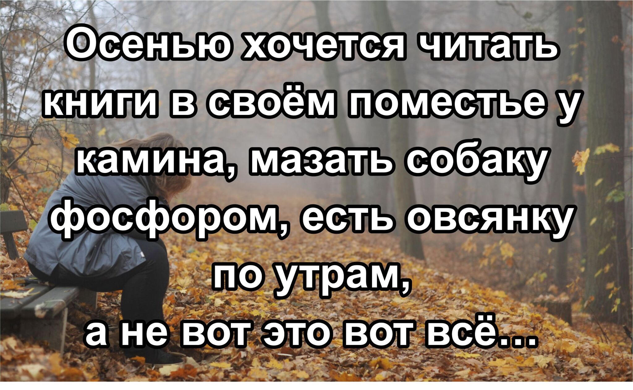 а у меня дома овсянка встретились два (96) фото