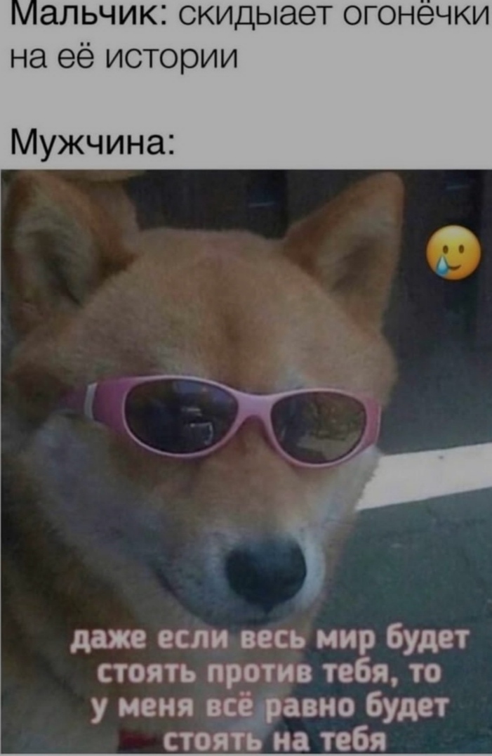10 из 10 вопросы