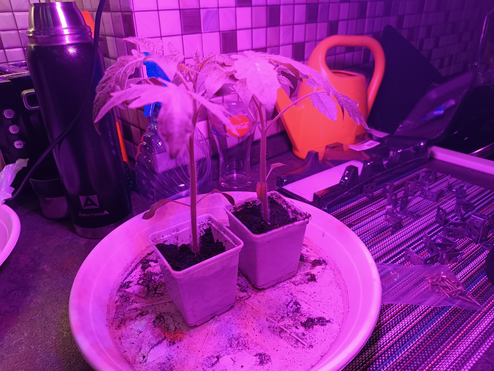 Предубеждение | Пикабу