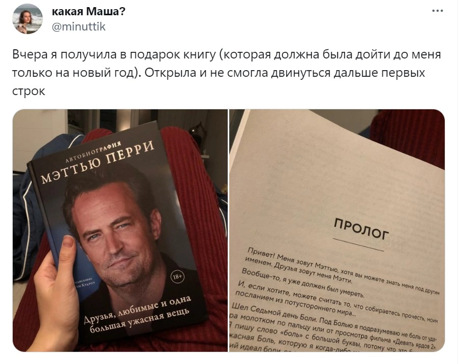 Последняя книга Мэттью Перри | Пикабу