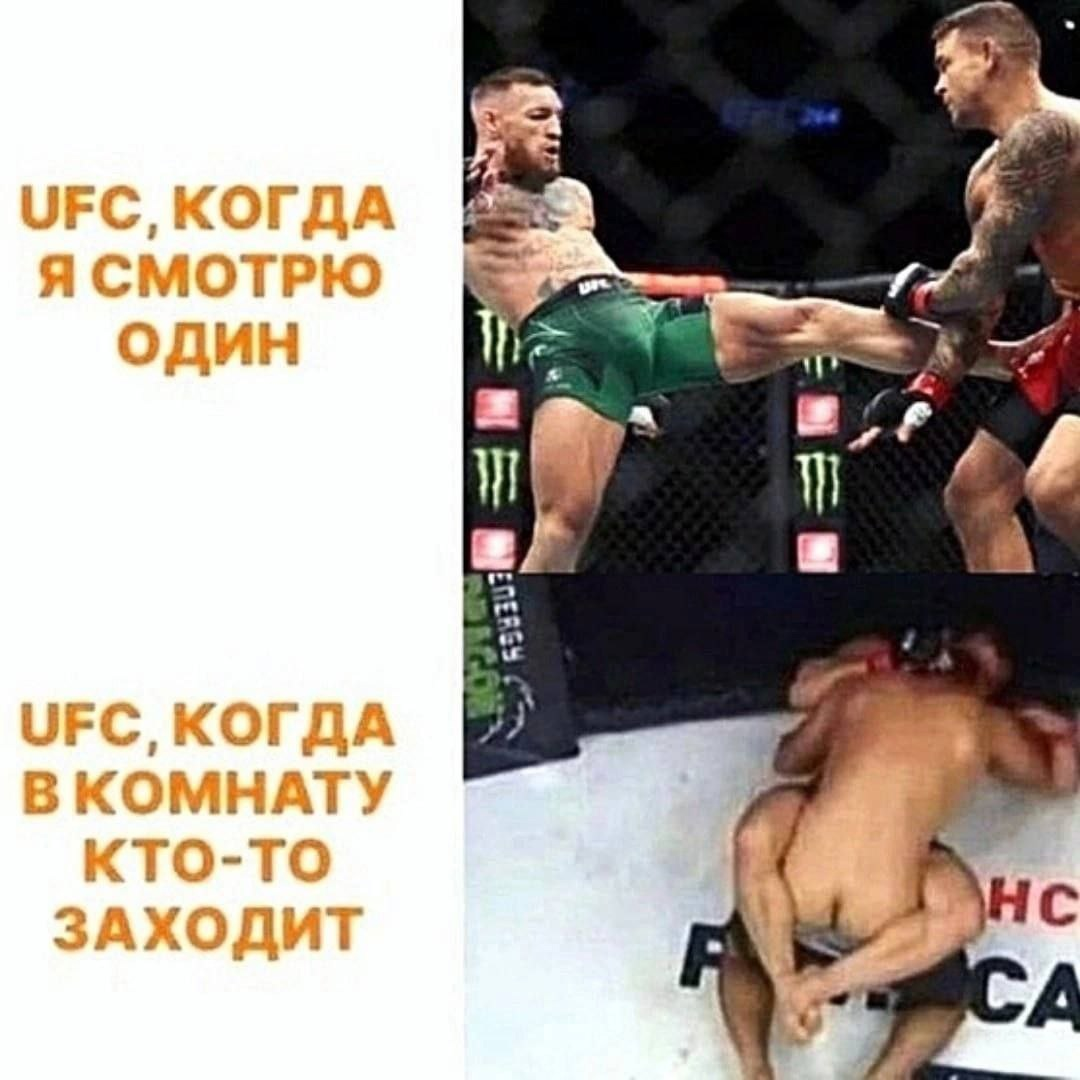 UFC оно разное | Пикабу