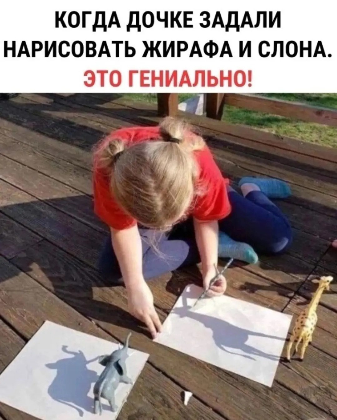 Сообразительность | Пикабу