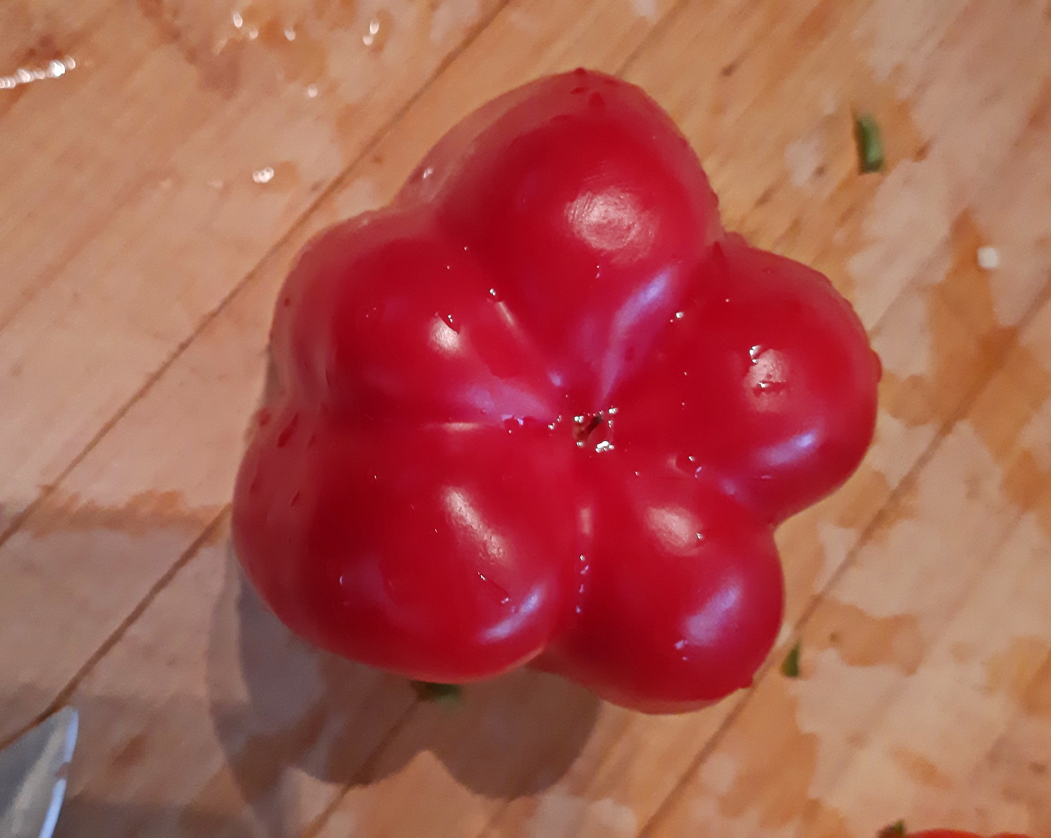 Третий гендер есть | Пикабу