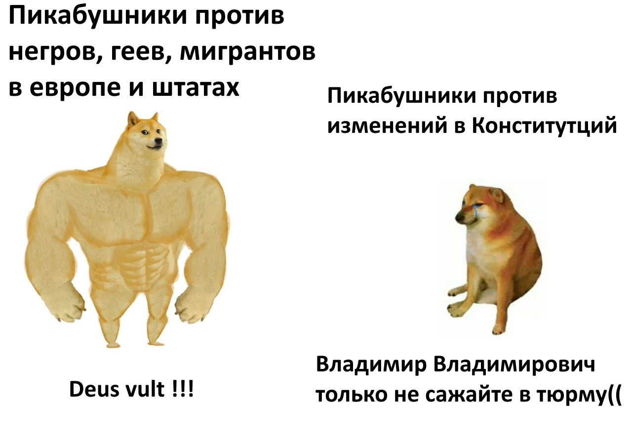 Еще тупых мемов | Пикабу