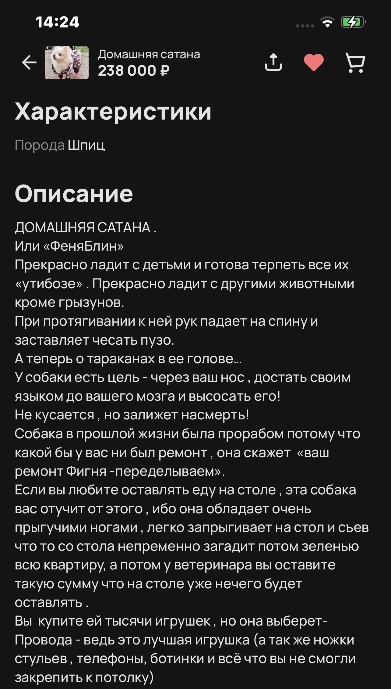 «Домашняя сатана» | Пикабу