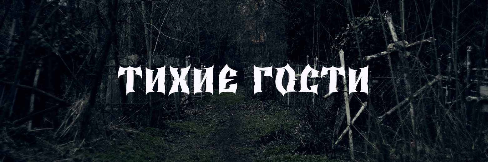 Тихие гости | Пикабу
