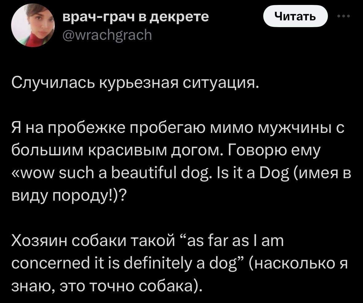 Dog | Пикабу