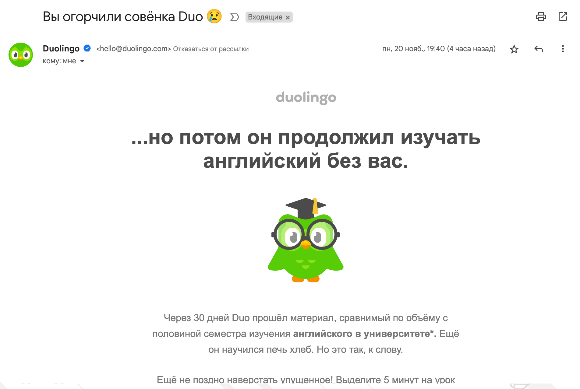 Немного пассивной агрессии от Duolingo. Или много? | Пикабу