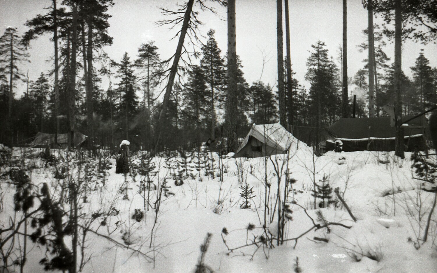 Зимний сезон на Малошуйке, 1992 год, часть 2 | Пикабу