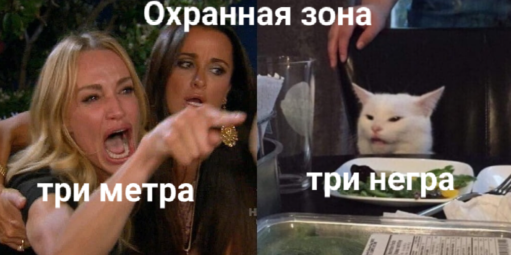 Охранная зона | Пикабу