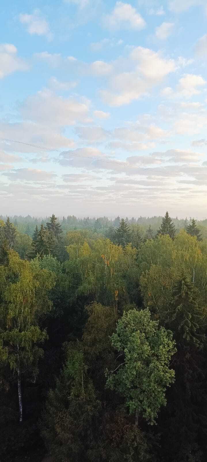 Небо Зеленоград | Пикабу