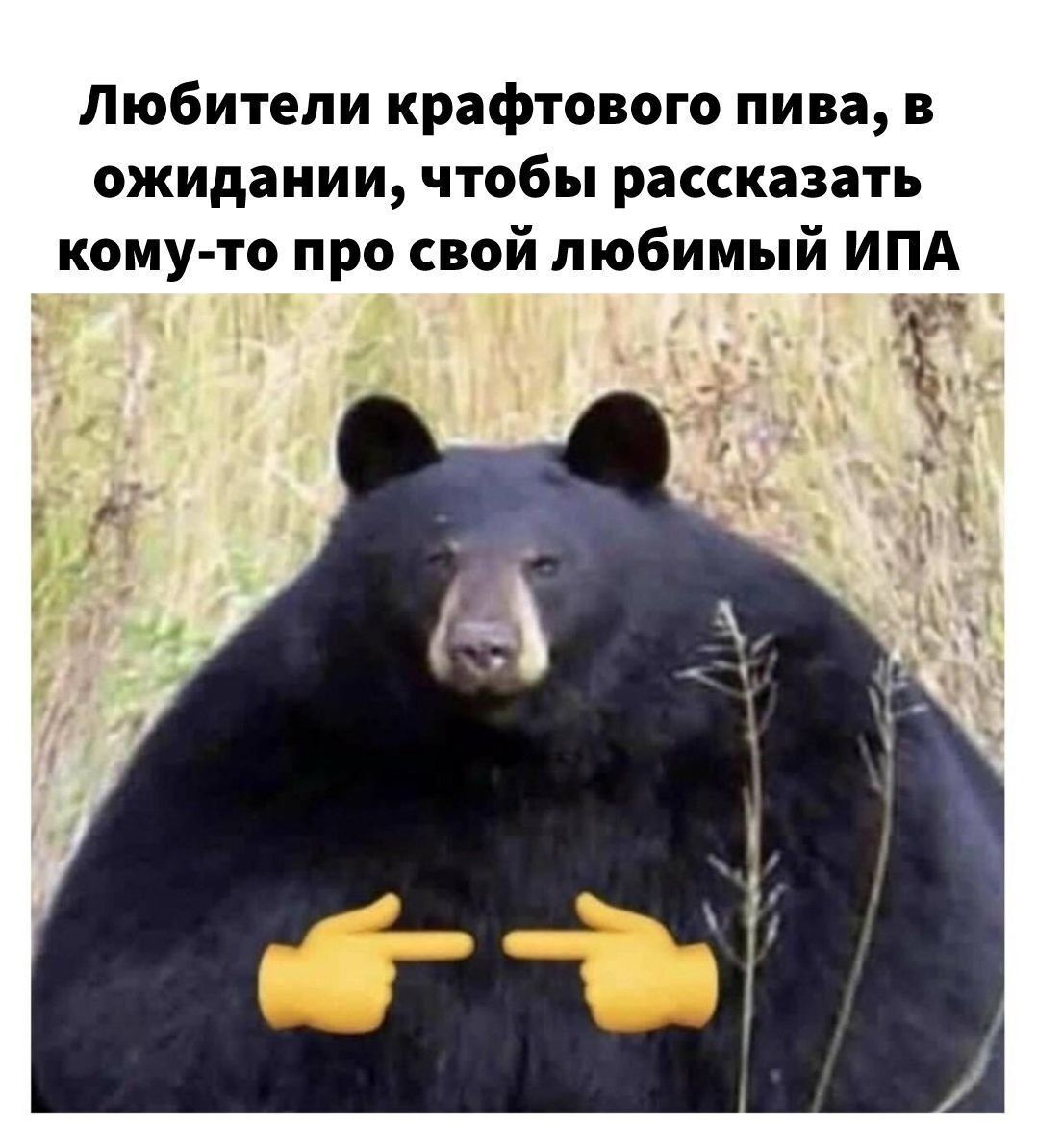 ИПА | Пикабу